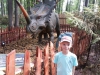 dinosaur_11