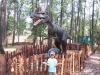 dinosaur_19