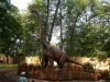 dinosaur_20