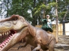 dinosaur_32