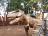 dinosaur_33