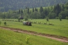 krasivaja_poljana