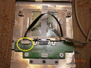 OLYMPUS DIGITAL CAMERA