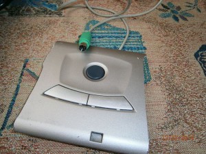 OLYMPUS DIGITAL CAMERA